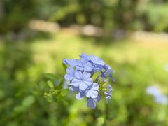 -亚龙湾喜来登·美景台大堂吧