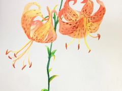 -青沐画室·专业美术培训