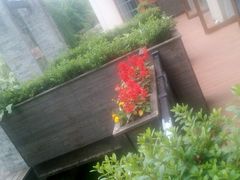 -黔蘑菇四季餐厅(观山湖店)