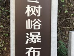 -鲁山国家森林公园