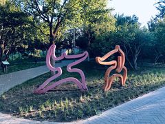 -大兴滨河森林公园