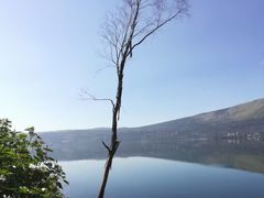 -阳宗海湿地