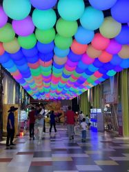 -宝燕乐园(闵行旗舰店)