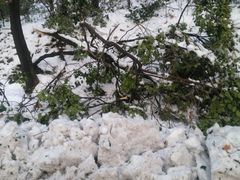 -镇江市南山风景名胜区竹林景区