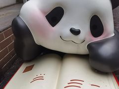 -轩客会(熊猫书店)