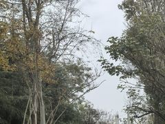 -白鹭湾湿地公园