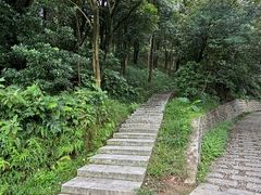 -黄埔油麻山森林公园