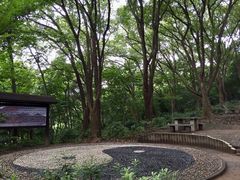 -上海佘山国家森林公园天马山园