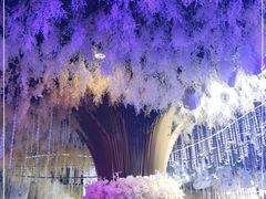 -世纪缘国际会议中心·中餐厅(百家湖店)