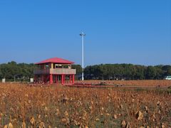 -嘉北郊野公园