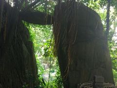 -乌山风景区