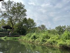 -西溪国家湿地公园