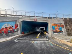 -西涌国际滨海旅游区