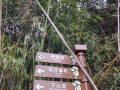 -牛鱼嘴原始生态风景区