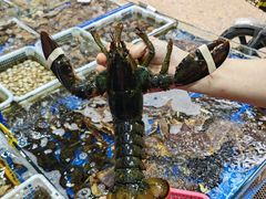 -船奇蒸汽海鲜·闽菜(八市海鲜总店)