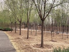-兴安湖生态运动公园