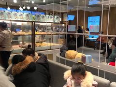 面包甜点陈列柜-奈雪的茶(湖滨银泰in77C区PRO店)
