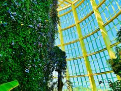 -昆明植物园