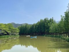 -森波拉奇妙世界