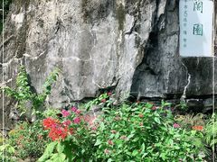 -深圳仙湖植物园-停车场