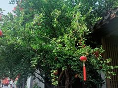 -鲤院·新中式美学·庭院餐厅(夫子庙店)