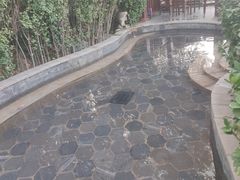 -徂徕山森林康养度假谷温泉