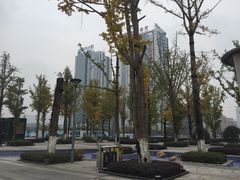 -百林公园-两江幸福广场