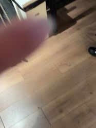 -G-STEPS舞蹈工作室