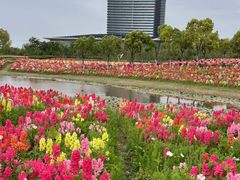 -春花秋色城市公园