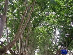 -T80科技文化国际社区-停车场