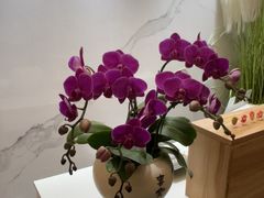 -岚魅儿·洗头头疗·按摩SPA(金光华店)