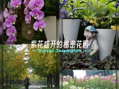 -石家庄市植物园