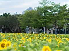 -海心沙亚运公园