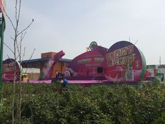 -西瓜小镇