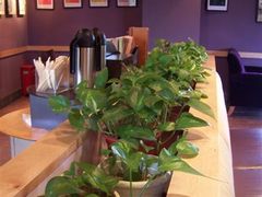 -星巴克(红房子店)