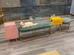 -BABIT巴比特宠物(MOMOPARK店)