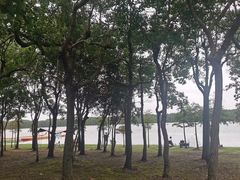 -上海海湾国家森林公园