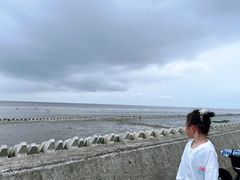 -南汇嘴观海公园