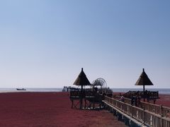 -红海滩国家风景廊道
