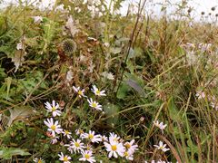景点-白草畔自然风景区