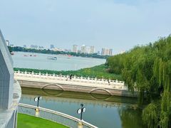 -鱼翅楼·津派砂锅鱼翅(水上公园店)