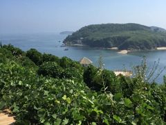 -大长山岛