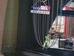 -云海肴云南菜·蒸汽石锅鱼(青岛万象城店)