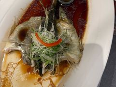 -聚鑫阁江浙菜·非遗传承技艺(青村帝华园店)