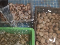 -和源祥·日照菜扛把子(万平口一店)