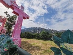 -姥家大锅台(凤凰岭店)