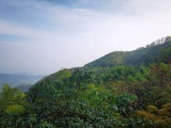 -莫干山风景区