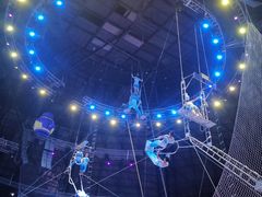 -俄罗斯国家大马戏团