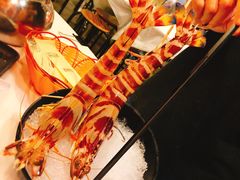 -鲜入围煮花胶鸡海鲜火锅