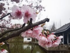 -无锡梅园公园